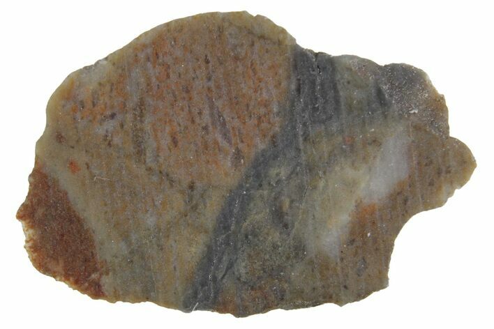 Lunar Meteorite Slice ( g) - NWA #360321